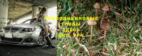 прущий лед Алексеевка