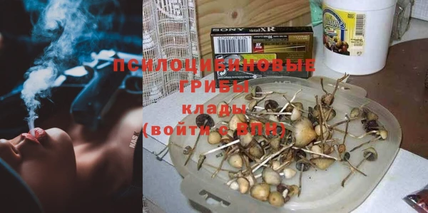 прущий лед Алексеевка
