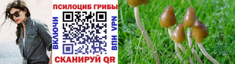 цена   блэк спрут   Галлюциногенные грибы GOLDEN TEACHER  Новоаннинский 